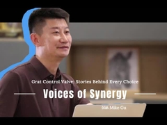 Stories Behind Every Choice: Voices of Synergy