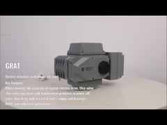 Electronic Type Intelligent Electric Actuator Stainless Steel with power-off reset