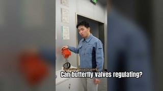 can a butterfly ball control flow-Explosion Proof Valve For Hazardous Areas